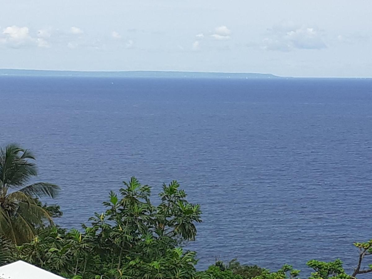 Awmony'Kaz, Gite A Trois-Rivieres Guadeloupe Exteriör bild