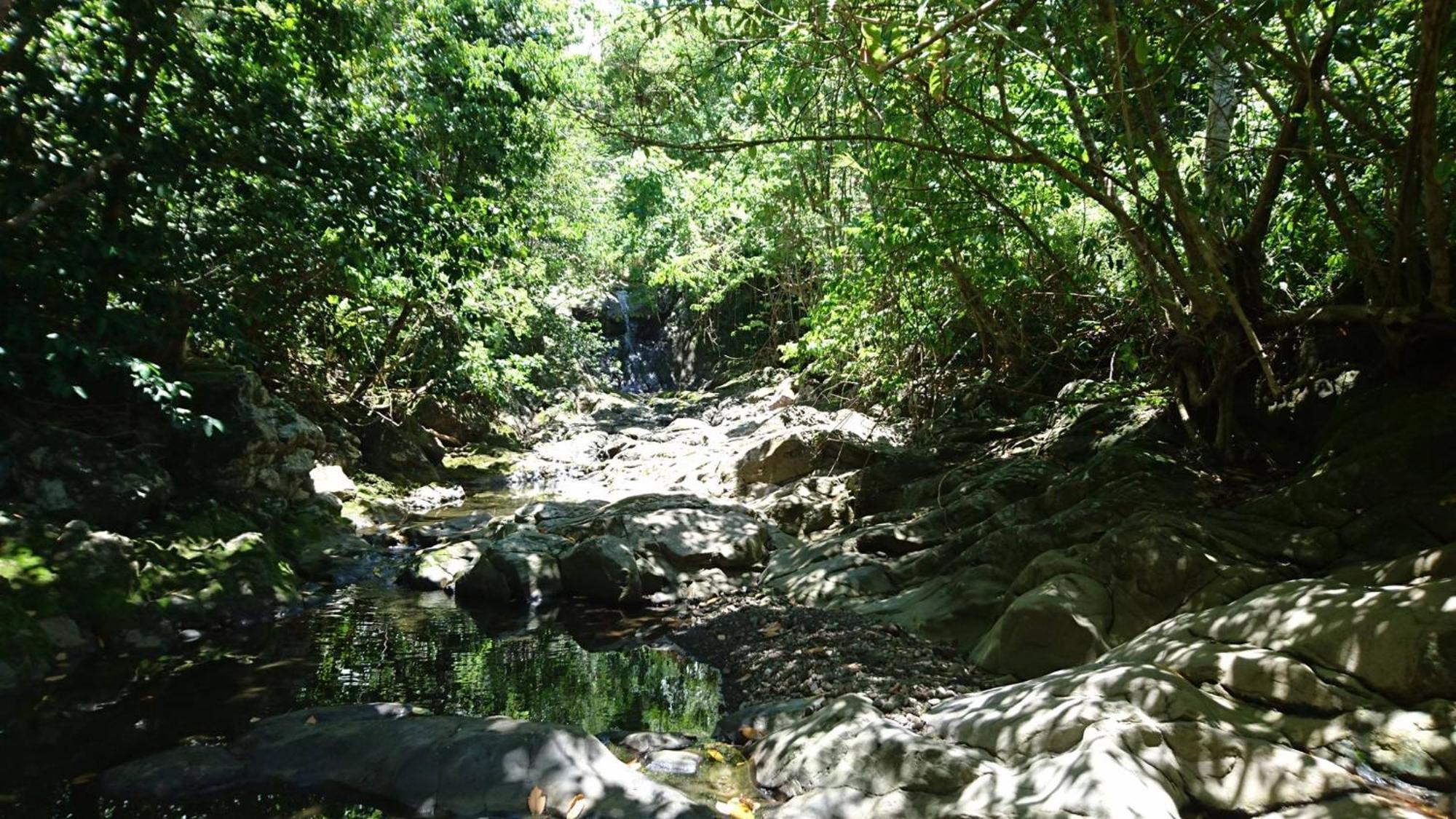 Awmony'Kaz, Gite A Trois-Rivieres Guadeloupe Exteriör bild