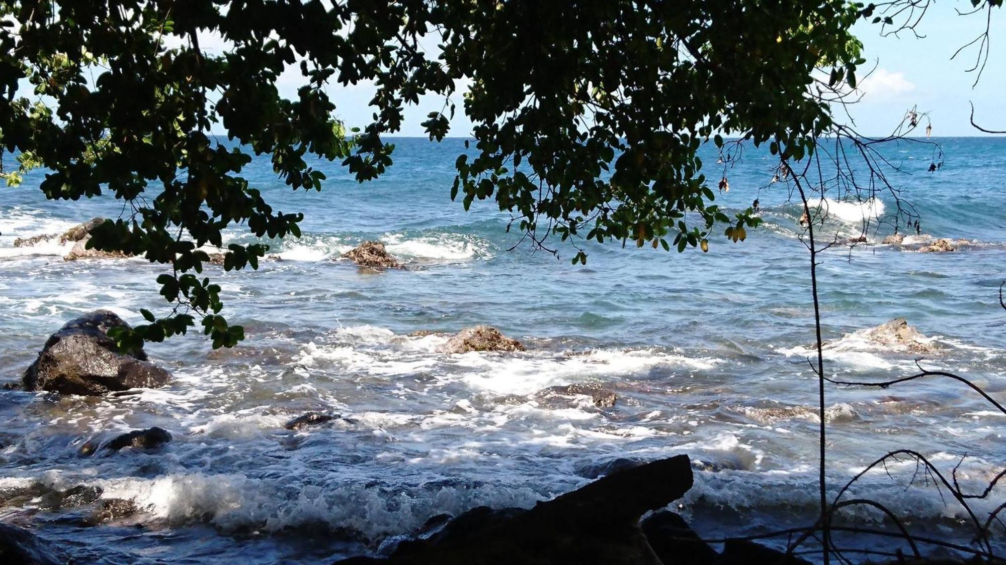 Awmony'Kaz, Gite A Trois-Rivieres Guadeloupe Exteriör bild