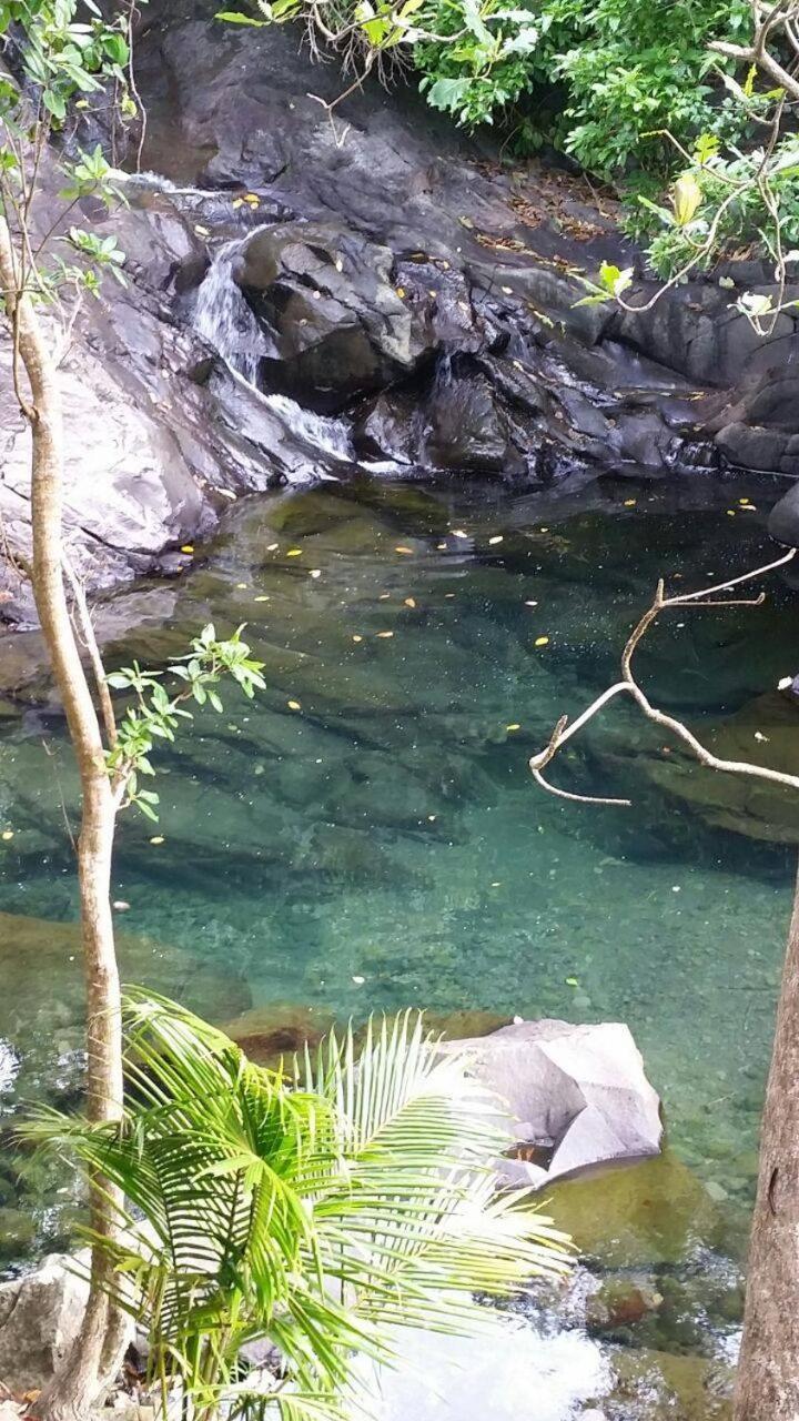 Awmony'Kaz, Gite A Trois-Rivieres Guadeloupe Exteriör bild